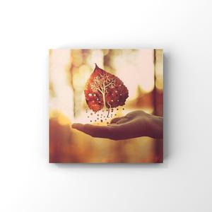 撒尿BBWBBWBBW毛黑vido
